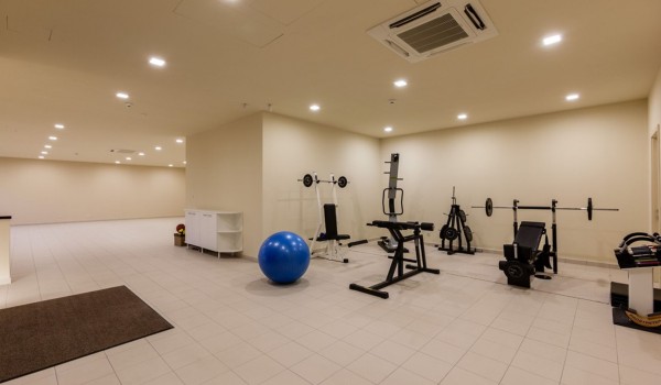 Luxury Villa Split with pool and gym - gym