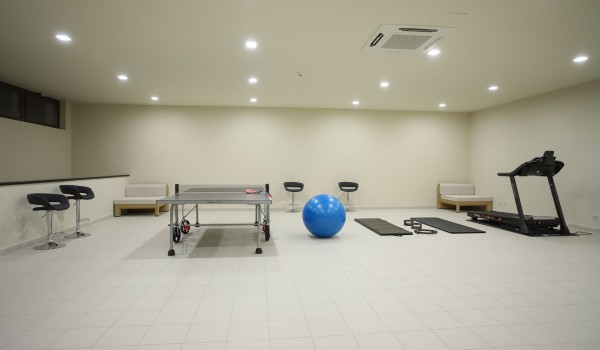 Luxury Villa Split with pool and gym - gym