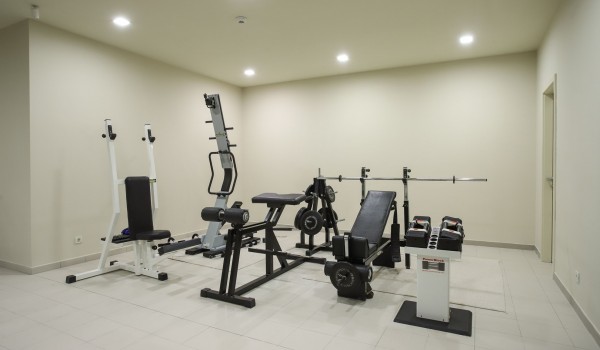 Luxury Villa Split with pool and gym - gym