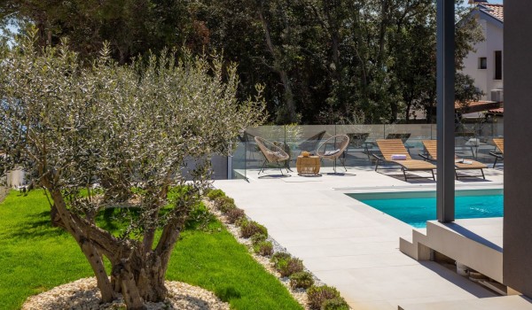 Mediterranean greenery with olive trees by the paved area leading to the front of the Villa Idria with a terrace and a heated pool