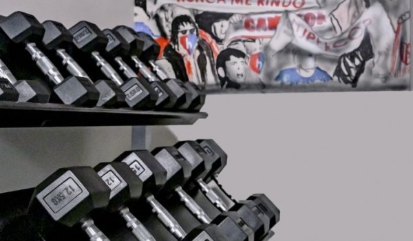 Supplements for exercise in a private villa for rent and holiday by the sea Raquel on the island of Šolta