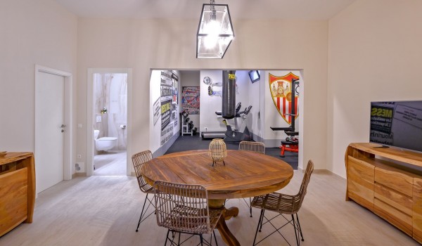 A gym with exercise equipment, a private toilet and a rest area with SAT TV in the luxury villa for rent and vacation Raquel on the island of Šolta