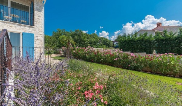 Daily view of property of luxury pet-friendly villa Stella Istriana in Višnjan for vacation and rent with pool and jacuzzi.