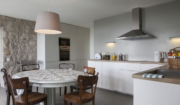 Fully equipped kitchen with the oven and dishwasher in the luxurious family villa Aromatica in Dubrovnik