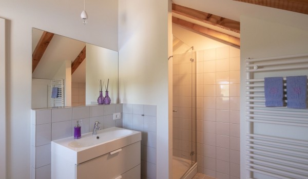 Spacious bathroom with the shower cabin and the sink of the luxury holiday villa Aromatica