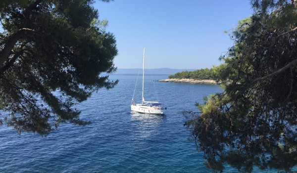 A view of the crystal blue sea surrounded by greenery on the island of Brač