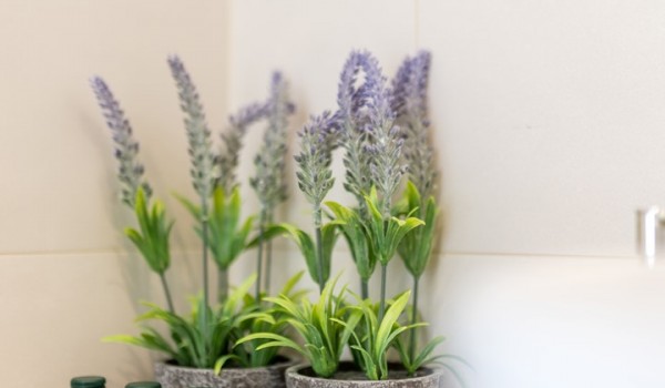 Mini shower gels and soaps in Croatia luxury villa Seven Seas for vacation and rent in Razanj