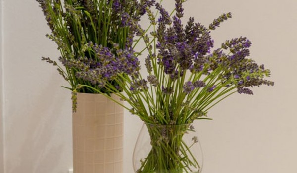 Decorative flowers in a Croatia luxury villa Trogir 2 for vacation and rent on Ciovo