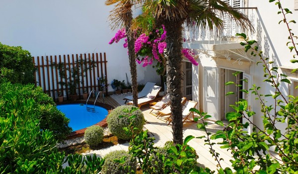 Outdoor terrace with private pool, surrounded by greenery and bushes in a holiday villa in Orebic