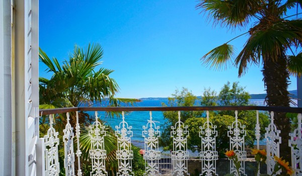 View of the palm trees and the sea from the balcony of the villa Beach House Orebic with private pool on Peljesac