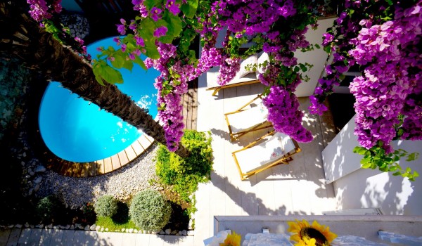 View from the balcony to the courtyard decorated with greenery and palm trees and to the outdoor pool with deckchairs