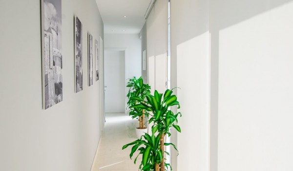 Hallway with potted plants in a luxury family pool villa with concierge service in Dubrovnik