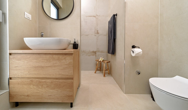 Modern interior of the luxury bathroom with a walk in shower and toiletries in the Croatia pet-friendly villa for a family holiday Indigo