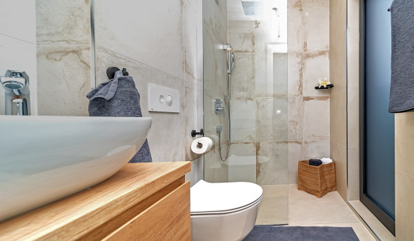 Walk in shower in the modernly decorated bathroom of the Croatian villa for rent and vacation Indigo with private pool