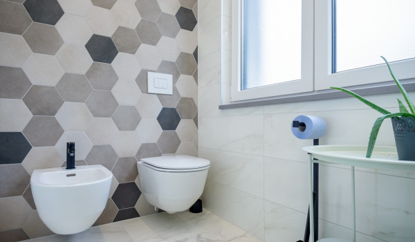 Toilet and bidet in the modern en suite bathroom inside Croatian luxury holiday villa