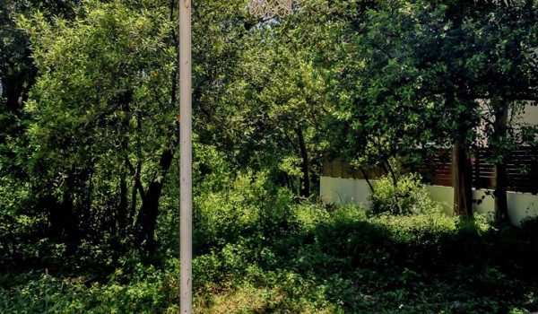 Basket on the basketball court in the luxury villa with pool