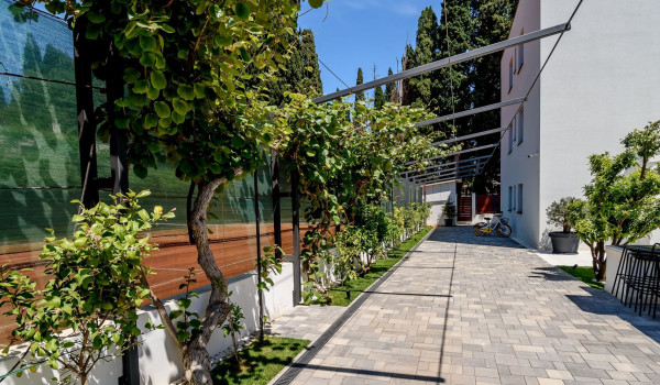 Fenced yard of the modern villa by the sea and bicycles