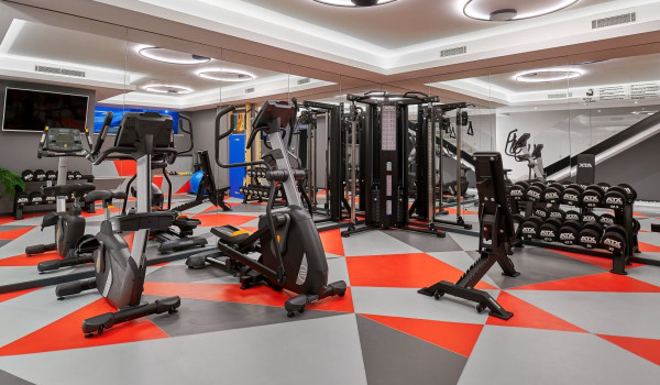Various exercise machines in the home gym of the rental villa Thalia with an indoor pool in Marina