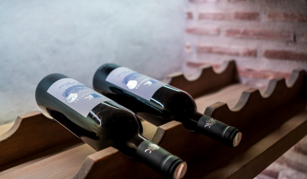Wine cellar in the luxury Dalmatian villa Dubrovnik Stone Beauty for vacation and rent with friends