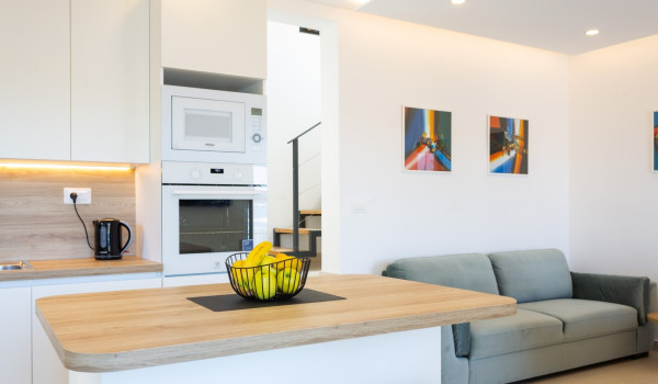 Fully equipped kitchen in the Luxury family villa Sea Hug