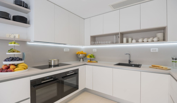 Equipped kitchen with two ovens, induction hob and sink in a luxury villa with a private pool in Brela